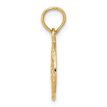 14k Yellow Gold Textured Star of David in Circle Frame Pendant