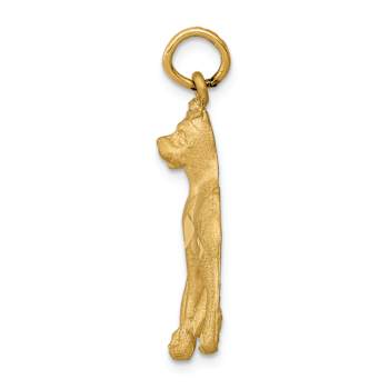 14k Yellow Gold Solid Diamond-Cut, Brushed and Polished Boxer Charm