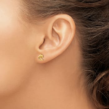 14K Yellow Gold Dolphin Post Screwback Earrings