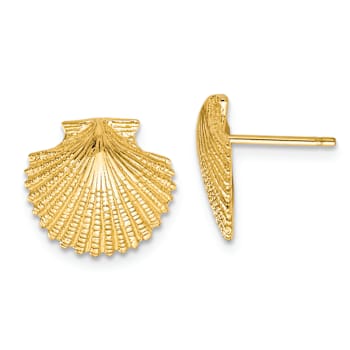 14k Yellow Gold 13mm Textured Scallop Shell Stud Earrings