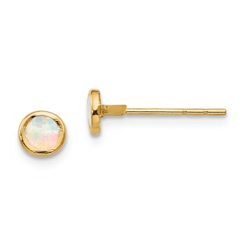 14k Yellow Gold 6mm Polished Lab Created Opal Bezel Stud Earrings