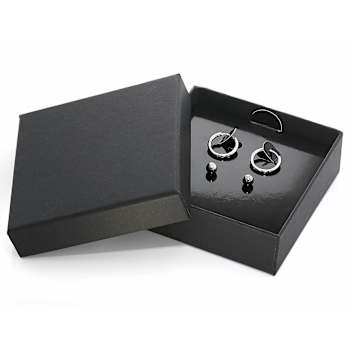 StaInless Steel Stud And Hoop EarRing Box Set