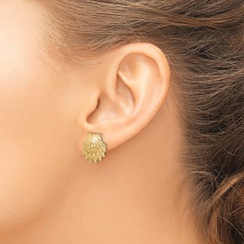 14k Yellow Gold Textured Lion's Paw Shell Stud Earrings