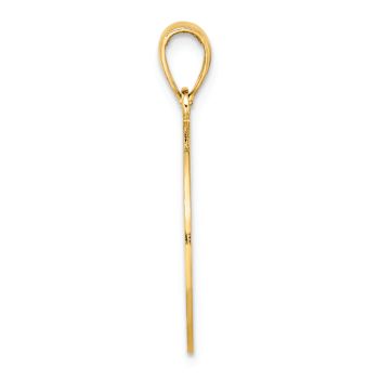 14k Yellow Gold Saint George Island with Dolphins Circlular Charm