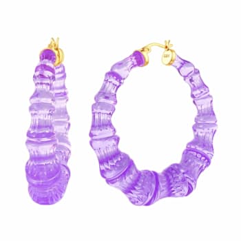 14K Yellow Gold Over Sterling Silver Bamboo Acrylic Hoops in Grape