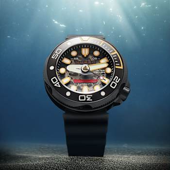 Nubeo Ventana Skeleton Automatic Black Dial Black Stainless Steel Band
Limited Edition Watch