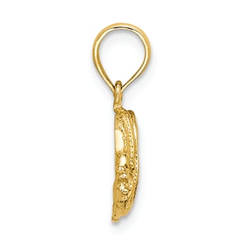 14k Yellow Gold Polished and Textured Fish Charm
