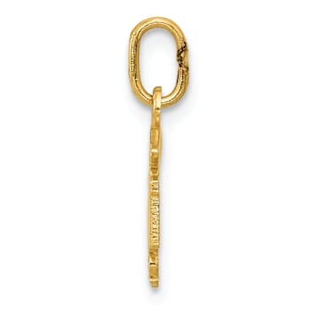 14k Yellow Gold Diamond-Cut and Polished RN Nurse Pendant