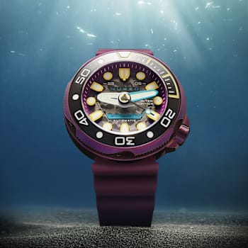 Nubeo Ventana Skeleton Automatic Purple Dial Purple Stainless Steel Band
Limited Edition Watch