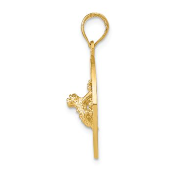 14k Yellow Gold Textured Puerto Rico with Frog Pendant