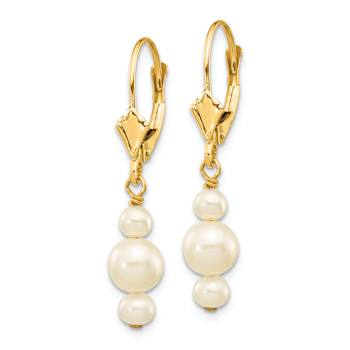 10k Yellow Gold 3-3.5mm and 5-5.5mm Semi-Round Freshwater Cultured Pearl
Dangle Earrings