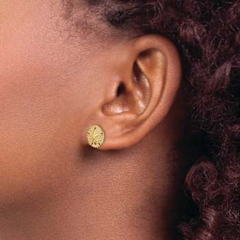 14k Yellow Gold Textured Sand Dollar Stud Earrings