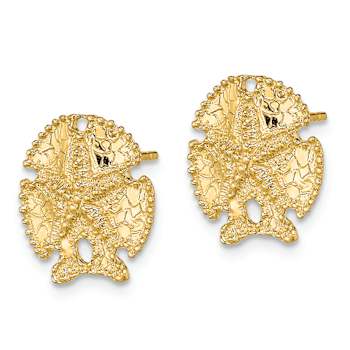 14k Yellow Gold Textured 13.5mm Sand Dollar Stud Earrings
