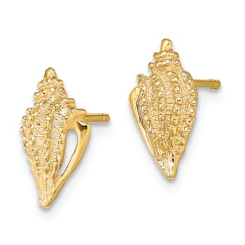 14k Yellow Gold Textured Mini Conch Shell Stud Earrings