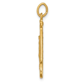 14k Yellow Gold Solid Polished and Satin Large Rectangle Framed
Miraculous Medal Pendant