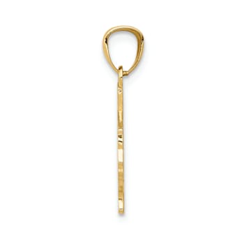 14k Yellow Gold Textured State of Texas Map Pendant