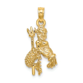 14k Yellow Gold 3D Textured Aquarius Zodiac pendant