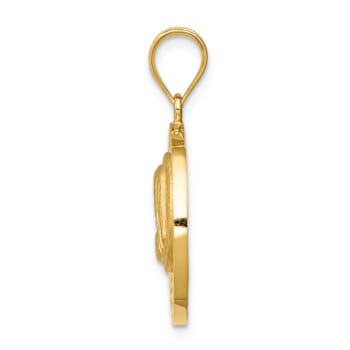 14k Yellow Gold Brushed, Textured and Polished Virgin Mary Pendant