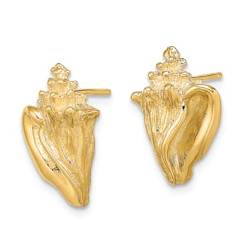 14k Yellow Gold Textured Conch Shell Stud Earrings