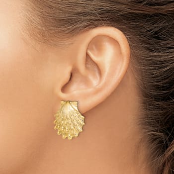14k Yellow Gold Textured Lion's Paw Shell Post Earrings