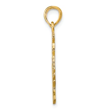 14k Yellow Gold Polished and Textured Cat Pendant