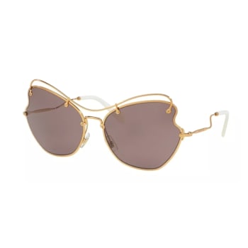 Miu Miu Gold Frame / Purple Brown Lenses Sunglasses