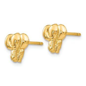 14k Yellow Gold Textured Elephant Stud Earrings