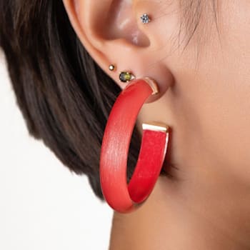 14K Yellow Gold Over Sterling Silver Medium Illusion Acrylic Hoops in Watermelon