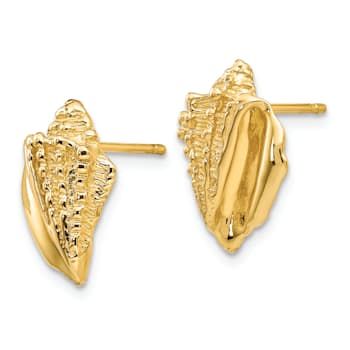 14k Yellow Gold Textured Conch Shell Stud Earrings