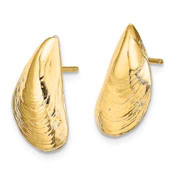 14K Yellow Gold Mussel Shell Stud Earrings