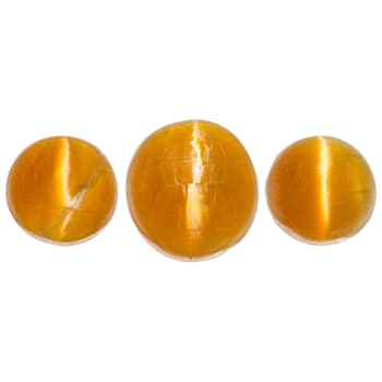 Fire Opal Cat's Eye Round Matched Set of 3 3.37ctw