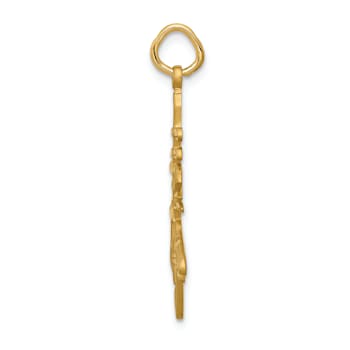 14k Yellow Gold Satin and Diamond-Cut Long Life Pendant