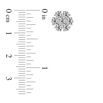1.50ctw Lab Grown Diamond Cluster Earrings in 14k White Gold