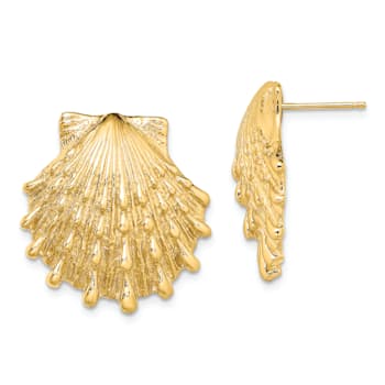 14k Yellow Gold Textured Lion's Paw Shell Post Earrings