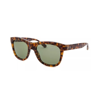 Saint Laurent Brown Tortoise Frame / Green Lenses Sunglasses
