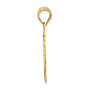 14k Yellow Gold Solid Satin, Polished and Textured Leo Zodiac Oval Pendant