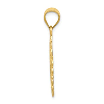 14k Yellow Gold Solid Satin, Polished and Textured Aquarius Zodiac Oval Pendant