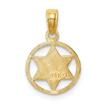 14k Yellow Gold Textured Star of David in Circle Frame Pendant