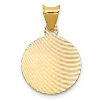 14k Yellow Gold Polished Diamond-Cut and Brushed Lady Of Guadalupe
Circle Pendant