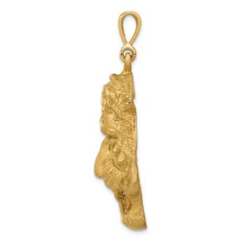 14k Yellow Gold Diamond-Cut and Satin Tigers Head Pendant