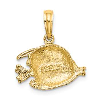 14k Yellow Gold Polished and Textured Fish Charm
