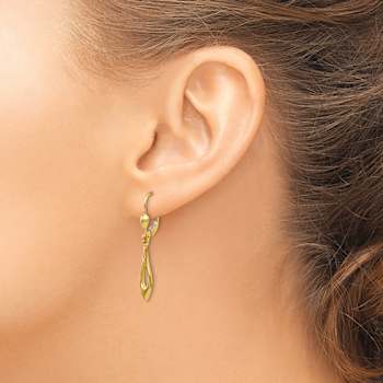 14k Yellow Gold Polished Dangle Earrings
