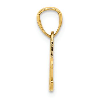 14k Yellow Gold Diamond-Cut #1 AUNT Pendant