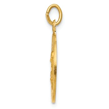 14K Yellow Gold Sacred Heart of Jesus Medal Charm
