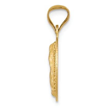 14k Yellow Gold Polished Diamond-Cut and Brushed Lady Of Guadalupe
Circle Pendant