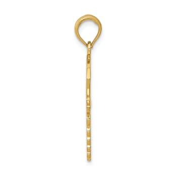 14k Yellow Gold Textured Caduceus with Nurses Cap Pendant