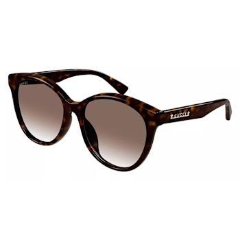 Gucci Havana Brown Frame / Brown Gradient Lens Sunglasses