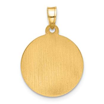 14k Yellow Gold Satin and Textured Miraculous Mary Plain Back Medal Pendent