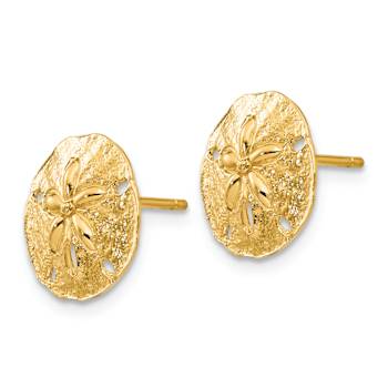 14k Yellow Gold 12mm Sand Dollar Stud Earrings