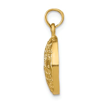 14k Yellow Gold Polished and Textured Globe Pendant